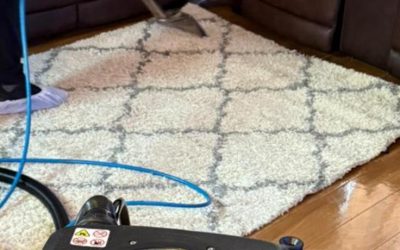 WhatsApp Image 2025-03-17 at 00.00.38